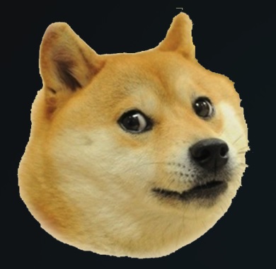 Doge